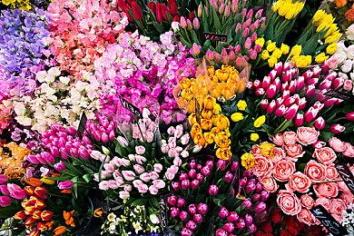 《Apocalypse Run!》Steam抢先体验 世纪末肉鸽战略RPG